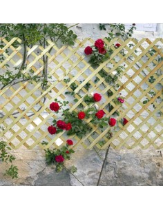 ΚΑΦΑΣΩΤΟ ΞΥΛΙΝΟ MEDIUM 122x240 ΜΕ ΜΑΤΙ 7x7εκ. 2
