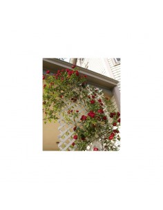 ΚΑΦΑΣΩΤΟ ΞΥΛΙΝΟ MEDIUM 122x240 ΜΕ ΜΑΤΙ 5x5εκ. 2