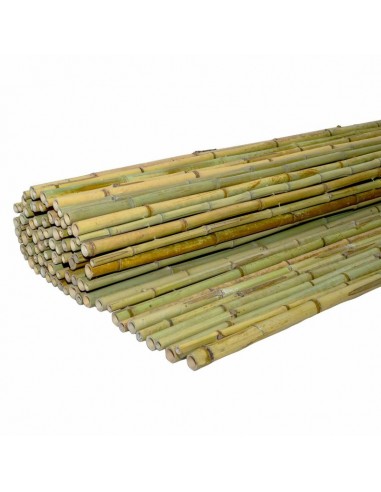 ΚΑΛΑΜΩΤΗ BAMBOO ΜΕ ΠΕΡΑΣΤΟ ΣΥΡΜΑ Φ20-25MM 100x250