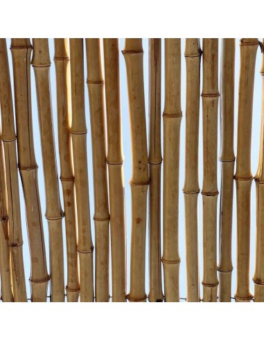 ΚΑΛΑΜΩΤΗ BAMBOO ΜΕ ΠΕΡΑΣΤΟ ΣΥΡΜΑ Φ20-25MM 100x250