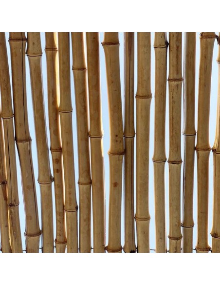ΚΑΛΑΜΩΤΗ BAMBOO ΜΕ ΠΕΡΑΣΤΟ ΣΥΡΜΑ Φ20-25MM 100x250