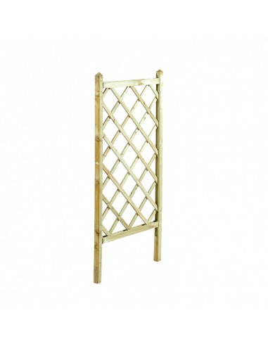 ΚΑΦΑΣΩΤΟ ΓΛΑΣΤΡΑΣ SHOWOOD 120(Υ) X 70CM