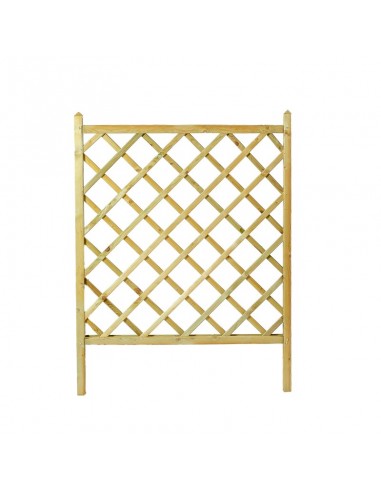 ΚΑΦΑΣΩΤΟ ΓΛΑΣΤΡΑΣ SHOWOOD 120(Υ) X 70CM