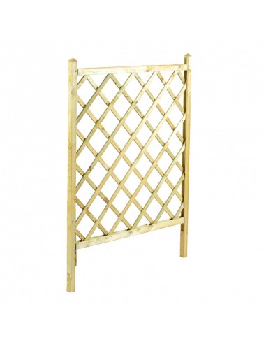 ΚΑΦΑΣΩΤΟ ΓΛΑΣΤΡΑΣ SHOWOOD 120(Υ) X 70CM