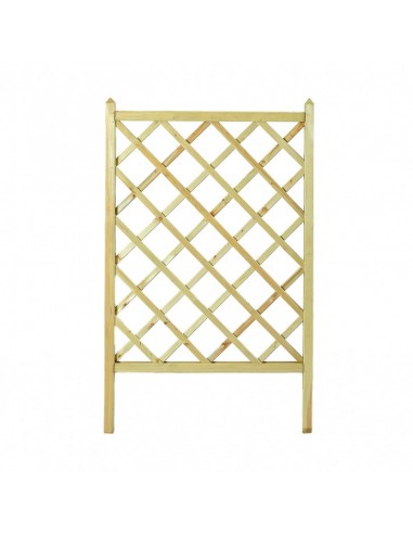 ΚΑΦΑΣΩΤΟ ΓΛΑΣΤΡΑΣ SHOWOOD 120(Υ) X 70CM