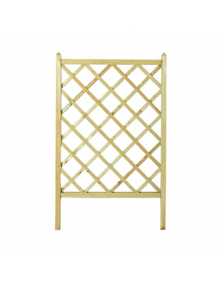 ΚΑΦΑΣΩΤΟ ΓΛΑΣΤΡΑΣ SHOWOOD 120(Υ) X 70CM
