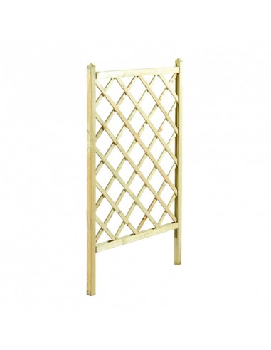 ΚΑΦΑΣΩΤΟ ΓΛΑΣΤΡΑΣ SHOWOOD 120(Υ) X 70CM