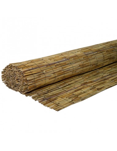 ΚΑΛΑΜΩΤΗ ΨΙΛΗ 500ΕΚ. PREMIUM SHOWOOD 100(Y) x...
