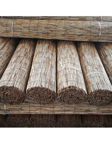 ΚΑΛΑΜΩΤΗ ΨΙΛΗ 500ΕΚ. PREMIUM SHOWOOD 100(Y) x...