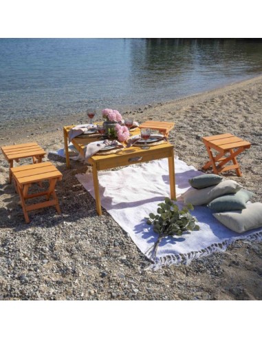 ΦΟΡΗΤΟ ΠΙΚ ΝΙΚ SET - 60629
