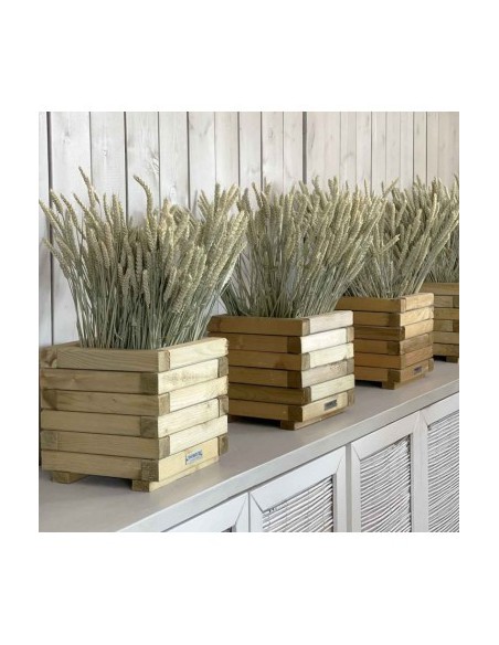 ΞΥΛΙΝΗ ΓΛΑΣΤΡΑ ΤΕΤΡΑΓΩΝΗ SHOWOOD 37X50X50