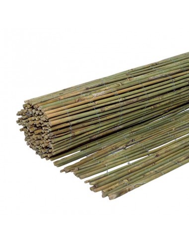 ΚΑΛΑΜΩΤΗ BAMBOO ΜΑΣΙΦ Ø7-12MM 200(Υ)x300εκ.