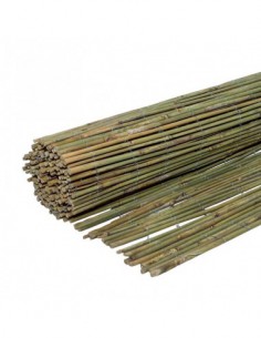 ΚΑΛΑΜΩΤΗ BAMBOO ΜΑΣΙΦ Ø7-12MM 250(Υ)x300εκ.