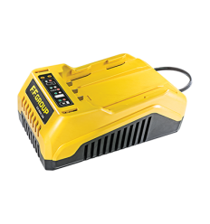 ΤΑΧΥΦΟΡΤΙΣΤΗΣ CH 40V/2A, FF GROUP