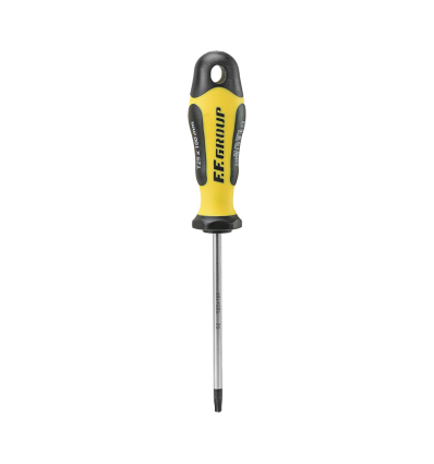 ΚΑΤΣΑΒΙΔΙ PRO GRIP TORX T15x100mmx4mm FF GROUP